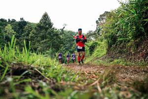 BIB: 
                            <button type="button" onclick="openModal(26331502)" class="btn btn-primary btn-sm float-right btn-popup" data-toggle="modal" data-target=".modal-high-quality">
                        <i class="fas fa-shopping-cart"></i> Add to Cart
                    </button>
                                            <button type="button" onclick="isThisMe(26331502, true)" class="btn btn-success btn-sm float-right btn-popup btn-isme hidden" data-toggle="tooltip" data-placement="bottom" title="นี่คือรูปของคุณใช่ไหม คลิกที่นี่เพื่อเอาเข้าอัลบั้ม">
                        <i class="fas fa-plus"></i> Add to album
                    </button>
                    <button type="button" onclick="isThisMe(26331502, false)" class="btn btn-warning btn-sm float-right btn-popup btn-isnotme hidden">
                        <i class="fas fa-ban"></i> Remove from album
                    </button>