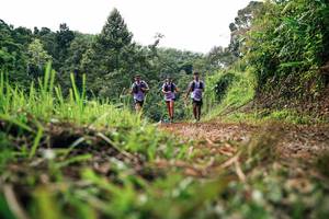 BIB: 
                            <button type="button" onclick="openModal(26331509)" class="btn btn-primary btn-sm float-right btn-popup" data-toggle="modal" data-target=".modal-high-quality">
                        <i class="fas fa-shopping-cart"></i> Add to Cart
                    </button>
                                            <button type="button" onclick="isThisMe(26331509, true)" class="btn btn-success btn-sm float-right btn-popup btn-isme hidden" data-toggle="tooltip" data-placement="bottom" title="นี่คือรูปของคุณใช่ไหม คลิกที่นี่เพื่อเอาเข้าอัลบั้ม">
                        <i class="fas fa-plus"></i> Add to album
                    </button>
                    <button type="button" onclick="isThisMe(26331509, false)" class="btn btn-warning btn-sm float-right btn-popup btn-isnotme hidden">
                        <i class="fas fa-ban"></i> Remove from album
                    </button>