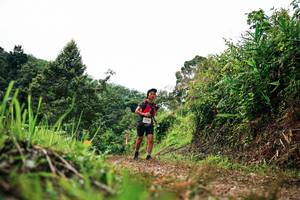 BIB: 
                            <button type="button" onclick="openModal(26329879)" class="btn btn-primary btn-sm float-right btn-popup" data-toggle="modal" data-target=".modal-high-quality">
                        <i class="fas fa-shopping-cart"></i> Add to Cart
                    </button>
                                            <button type="button" onclick="isThisMe(26329879, true)" class="btn btn-success btn-sm float-right btn-popup btn-isme hidden" data-toggle="tooltip" data-placement="bottom" title="นี่คือรูปของคุณใช่ไหม คลิกที่นี่เพื่อเอาเข้าอัลบั้ม">
                        <i class="fas fa-plus"></i> Add to album
                    </button>
                    <button type="button" onclick="isThisMe(26329879, false)" class="btn btn-warning btn-sm float-right btn-popup btn-isnotme hidden">
                        <i class="fas fa-ban"></i> Remove from album
                    </button>