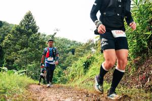 BIB: 
                            <button type="button" onclick="openModal(26329173)" class="btn btn-primary btn-sm float-right btn-popup" data-toggle="modal" data-target=".modal-high-quality">
                        <i class="fas fa-shopping-cart"></i> Add to Cart
                    </button>
                                            <button type="button" onclick="isThisMe(26329173, true)" class="btn btn-success btn-sm float-right btn-popup btn-isme hidden" data-toggle="tooltip" data-placement="bottom" title="นี่คือรูปของคุณใช่ไหม คลิกที่นี่เพื่อเอาเข้าอัลบั้ม">
                        <i class="fas fa-plus"></i> Add to album
                    </button>
                    <button type="button" onclick="isThisMe(26329173, false)" class="btn btn-warning btn-sm float-right btn-popup btn-isnotme hidden">
                        <i class="fas fa-ban"></i> Remove from album
                    </button>