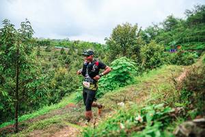 BIB: 
                            <button type="button" onclick="openModal(26338959)" class="btn btn-primary btn-sm float-right btn-popup" data-toggle="modal" data-target=".modal-high-quality">
                        <i class="fas fa-shopping-cart"></i> Add to Cart
                    </button>
                                            <button type="button" onclick="isThisMe(26338959, true)" class="btn btn-success btn-sm float-right btn-popup btn-isme hidden" data-toggle="tooltip" data-placement="bottom" title="นี่คือรูปของคุณใช่ไหม คลิกที่นี่เพื่อเอาเข้าอัลบั้ม">
                        <i class="fas fa-plus"></i> Add to album
                    </button>
                    <button type="button" onclick="isThisMe(26338959, false)" class="btn btn-warning btn-sm float-right btn-popup btn-isnotme hidden">
                        <i class="fas fa-ban"></i> Remove from album
                    </button>