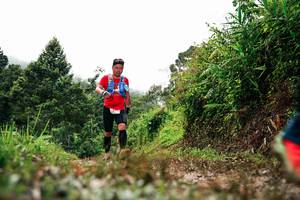 BIB: 
                            <button type="button" onclick="openModal(26326368)" class="btn btn-primary btn-sm float-right btn-popup" data-toggle="modal" data-target=".modal-high-quality">
                        <i class="fas fa-shopping-cart"></i> Add to Cart
                    </button>
                                            <button type="button" onclick="isThisMe(26326368, true)" class="btn btn-success btn-sm float-right btn-popup btn-isme hidden" data-toggle="tooltip" data-placement="bottom" title="นี่คือรูปของคุณใช่ไหม คลิกที่นี่เพื่อเอาเข้าอัลบั้ม">
                        <i class="fas fa-plus"></i> Add to album
                    </button>
                    <button type="button" onclick="isThisMe(26326368, false)" class="btn btn-warning btn-sm float-right btn-popup btn-isnotme hidden">
                        <i class="fas fa-ban"></i> Remove from album
                    </button>