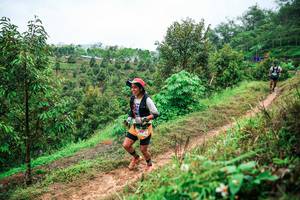 BIB: 
                            <button type="button" onclick="openModal(26339196)" class="btn btn-primary btn-sm float-right btn-popup" data-toggle="modal" data-target=".modal-high-quality">
                        <i class="fas fa-shopping-cart"></i> Add to Cart
                    </button>
                                            <button type="button" onclick="isThisMe(26339196, true)" class="btn btn-success btn-sm float-right btn-popup btn-isme hidden" data-toggle="tooltip" data-placement="bottom" title="นี่คือรูปของคุณใช่ไหม คลิกที่นี่เพื่อเอาเข้าอัลบั้ม">
                        <i class="fas fa-plus"></i> Add to album
                    </button>
                    <button type="button" onclick="isThisMe(26339196, false)" class="btn btn-warning btn-sm float-right btn-popup btn-isnotme hidden">
                        <i class="fas fa-ban"></i> Remove from album
                    </button>