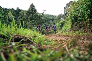 BIB: 
                            <button type="button" onclick="openModal(26331506)" class="btn btn-primary btn-sm float-right btn-popup" data-toggle="modal" data-target=".modal-high-quality">
                        <i class="fas fa-shopping-cart"></i> Add to Cart
                    </button>
                                            <button type="button" onclick="isThisMe(26331506, true)" class="btn btn-success btn-sm float-right btn-popup btn-isme hidden" data-toggle="tooltip" data-placement="bottom" title="นี่คือรูปของคุณใช่ไหม คลิกที่นี่เพื่อเอาเข้าอัลบั้ม">
                        <i class="fas fa-plus"></i> Add to album
                    </button>
                    <button type="button" onclick="isThisMe(26331506, false)" class="btn btn-warning btn-sm float-right btn-popup btn-isnotme hidden">
                        <i class="fas fa-ban"></i> Remove from album
                    </button>