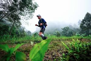 BIB: 
                            <button type="button" onclick="openModal(26323833)" class="btn btn-primary btn-sm float-right btn-popup" data-toggle="modal" data-target=".modal-high-quality">
                        <i class="fas fa-shopping-cart"></i> Add to Cart
                    </button>
                                            <button type="button" onclick="isThisMe(26323833, true)" class="btn btn-success btn-sm float-right btn-popup btn-isme hidden" data-toggle="tooltip" data-placement="bottom" title="นี่คือรูปของคุณใช่ไหม คลิกที่นี่เพื่อเอาเข้าอัลบั้ม">
                        <i class="fas fa-plus"></i> Add to album
                    </button>
                    <button type="button" onclick="isThisMe(26323833, false)" class="btn btn-warning btn-sm float-right btn-popup btn-isnotme hidden">
                        <i class="fas fa-ban"></i> Remove from album
                    </button>