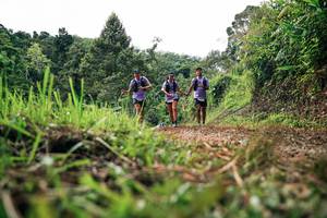 BIB: 
                            <button type="button" onclick="openModal(26331510)" class="btn btn-primary btn-sm float-right btn-popup" data-toggle="modal" data-target=".modal-high-quality">
                        <i class="fas fa-shopping-cart"></i> Add to Cart
                    </button>
                                            <button type="button" onclick="isThisMe(26331510, true)" class="btn btn-success btn-sm float-right btn-popup btn-isme hidden" data-toggle="tooltip" data-placement="bottom" title="นี่คือรูปของคุณใช่ไหม คลิกที่นี่เพื่อเอาเข้าอัลบั้ม">
                        <i class="fas fa-plus"></i> Add to album
                    </button>
                    <button type="button" onclick="isThisMe(26331510, false)" class="btn btn-warning btn-sm float-right btn-popup btn-isnotme hidden">
                        <i class="fas fa-ban"></i> Remove from album
                    </button>