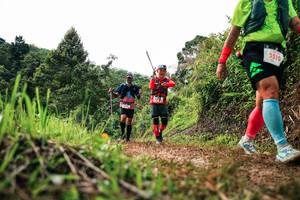 BIB: 
                            <button type="button" onclick="openModal(26330580)" class="btn btn-primary btn-sm float-right btn-popup" data-toggle="modal" data-target=".modal-high-quality">
                        <i class="fas fa-shopping-cart"></i> Add to Cart
                    </button>
                                            <button type="button" onclick="isThisMe(26330580, true)" class="btn btn-success btn-sm float-right btn-popup btn-isme hidden" data-toggle="tooltip" data-placement="bottom" title="นี่คือรูปของคุณใช่ไหม คลิกที่นี่เพื่อเอาเข้าอัลบั้ม">
                        <i class="fas fa-plus"></i> Add to album
                    </button>
                    <button type="button" onclick="isThisMe(26330580, false)" class="btn btn-warning btn-sm float-right btn-popup btn-isnotme hidden">
                        <i class="fas fa-ban"></i> Remove from album
                    </button>