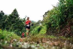 BIB: 
                            <button type="button" onclick="openModal(26326323)" class="btn btn-primary btn-sm float-right btn-popup" data-toggle="modal" data-target=".modal-high-quality">
                        <i class="fas fa-shopping-cart"></i> Add to Cart
                    </button>
                                            <button type="button" onclick="isThisMe(26326323, true)" class="btn btn-success btn-sm float-right btn-popup btn-isme hidden" data-toggle="tooltip" data-placement="bottom" title="นี่คือรูปของคุณใช่ไหม คลิกที่นี่เพื่อเอาเข้าอัลบั้ม">
                        <i class="fas fa-plus"></i> Add to album
                    </button>
                    <button type="button" onclick="isThisMe(26326323, false)" class="btn btn-warning btn-sm float-right btn-popup btn-isnotme hidden">
                        <i class="fas fa-ban"></i> Remove from album
                    </button>