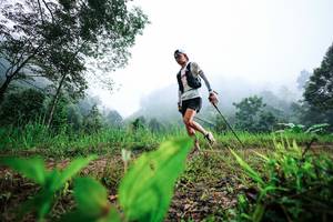 BIB: 
                            <button type="button" onclick="openModal(26323761)" class="btn btn-primary btn-sm float-right btn-popup" data-toggle="modal" data-target=".modal-high-quality">
                        <i class="fas fa-shopping-cart"></i> Add to Cart
                    </button>
                                            <button type="button" onclick="isThisMe(26323761, true)" class="btn btn-success btn-sm float-right btn-popup btn-isme hidden" data-toggle="tooltip" data-placement="bottom" title="นี่คือรูปของคุณใช่ไหม คลิกที่นี่เพื่อเอาเข้าอัลบั้ม">
                        <i class="fas fa-plus"></i> Add to album
                    </button>
                    <button type="button" onclick="isThisMe(26323761, false)" class="btn btn-warning btn-sm float-right btn-popup btn-isnotme hidden">
                        <i class="fas fa-ban"></i> Remove from album
                    </button>