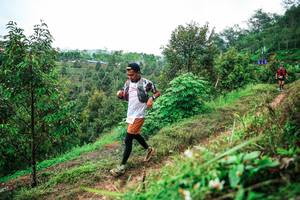 BIB: 
                            <button type="button" onclick="openModal(26338841)" class="btn btn-primary btn-sm float-right btn-popup" data-toggle="modal" data-target=".modal-high-quality">
                        <i class="fas fa-shopping-cart"></i> Add to Cart
                    </button>
                                            <button type="button" onclick="isThisMe(26338841, true)" class="btn btn-success btn-sm float-right btn-popup btn-isme hidden" data-toggle="tooltip" data-placement="bottom" title="นี่คือรูปของคุณใช่ไหม คลิกที่นี่เพื่อเอาเข้าอัลบั้ม">
                        <i class="fas fa-plus"></i> Add to album
                    </button>
                    <button type="button" onclick="isThisMe(26338841, false)" class="btn btn-warning btn-sm float-right btn-popup btn-isnotme hidden">
                        <i class="fas fa-ban"></i> Remove from album
                    </button>