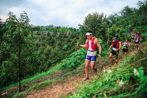 BIB: 
                            <button type="button" onclick="openModal(26339991)" class="btn btn-primary btn-sm float-right btn-popup" data-toggle="modal" data-target=".modal-high-quality">
                        <i class="fas fa-shopping-cart"></i> Add to Cart
                    </button>
                                            <button type="button" onclick="isThisMe(26339991, true)" class="btn btn-success btn-sm float-right btn-popup btn-isme hidden" data-toggle="tooltip" data-placement="bottom" title="นี่คือรูปของคุณใช่ไหม คลิกที่นี่เพื่อเอาเข้าอัลบั้ม">
                        <i class="fas fa-plus"></i> Add to album
                    </button>
                    <button type="button" onclick="isThisMe(26339991, false)" class="btn btn-warning btn-sm float-right btn-popup btn-isnotme hidden">
                        <i class="fas fa-ban"></i> Remove from album
                    </button>