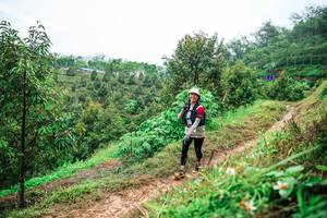 BIB: 
                            <button type="button" onclick="openModal(26339250)" class="btn btn-primary btn-sm float-right btn-popup" data-toggle="modal" data-target=".modal-high-quality">
                        <i class="fas fa-shopping-cart"></i> Add to Cart
                    </button>
                                            <button type="button" onclick="isThisMe(26339250, true)" class="btn btn-success btn-sm float-right btn-popup btn-isme hidden" data-toggle="tooltip" data-placement="bottom" title="นี่คือรูปของคุณใช่ไหม คลิกที่นี่เพื่อเอาเข้าอัลบั้ม">
                        <i class="fas fa-plus"></i> Add to album
                    </button>
                    <button type="button" onclick="isThisMe(26339250, false)" class="btn btn-warning btn-sm float-right btn-popup btn-isnotme hidden">
                        <i class="fas fa-ban"></i> Remove from album
                    </button>