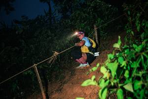 BIB: 
                            <button type="button" onclick="openModal(26334106)" class="btn btn-primary btn-sm float-right btn-popup" data-toggle="modal" data-target=".modal-high-quality">
                        <i class="fas fa-shopping-cart"></i> Add to Cart
                    </button>
                                            <button type="button" onclick="isThisMe(26334106, true)" class="btn btn-success btn-sm float-right btn-popup btn-isme hidden" data-toggle="tooltip" data-placement="bottom" title="นี่คือรูปของคุณใช่ไหม คลิกที่นี่เพื่อเอาเข้าอัลบั้ม">
                        <i class="fas fa-plus"></i> Add to album
                    </button>
                    <button type="button" onclick="isThisMe(26334106, false)" class="btn btn-warning btn-sm float-right btn-popup btn-isnotme hidden">
                        <i class="fas fa-ban"></i> Remove from album
                    </button>