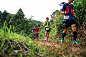 BIB: 
                            <button type="button" onclick="openModal(26330567)" class="btn btn-primary btn-sm float-right btn-popup" data-toggle="modal" data-target=".modal-high-quality">
                        <i class="fas fa-shopping-cart"></i> Add to Cart
                    </button>
                                            <button type="button" onclick="isThisMe(26330567, true)" class="btn btn-success btn-sm float-right btn-popup btn-isme hidden" data-toggle="tooltip" data-placement="bottom" title="นี่คือรูปของคุณใช่ไหม คลิกที่นี่เพื่อเอาเข้าอัลบั้ม">
                        <i class="fas fa-plus"></i> Add to album
                    </button>
                    <button type="button" onclick="isThisMe(26330567, false)" class="btn btn-warning btn-sm float-right btn-popup btn-isnotme hidden">
                        <i class="fas fa-ban"></i> Remove from album
                    </button>