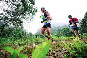 BIB: 
                            <button type="button" onclick="openModal(26324103)" class="btn btn-primary btn-sm float-right btn-popup" data-toggle="modal" data-target=".modal-high-quality">
                        <i class="fas fa-shopping-cart"></i> Add to Cart
                    </button>
                                            <button type="button" onclick="isThisMe(26324103, true)" class="btn btn-success btn-sm float-right btn-popup btn-isme hidden" data-toggle="tooltip" data-placement="bottom" title="นี่คือรูปของคุณใช่ไหม คลิกที่นี่เพื่อเอาเข้าอัลบั้ม">
                        <i class="fas fa-plus"></i> Add to album
                    </button>
                    <button type="button" onclick="isThisMe(26324103, false)" class="btn btn-warning btn-sm float-right btn-popup btn-isnotme hidden">
                        <i class="fas fa-ban"></i> Remove from album
                    </button>