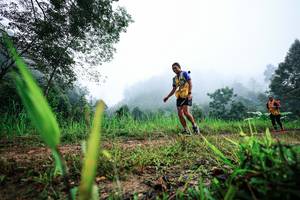 BIB: 
                            <button type="button" onclick="openModal(26323704)" class="btn btn-primary btn-sm float-right btn-popup" data-toggle="modal" data-target=".modal-high-quality">
                        <i class="fas fa-shopping-cart"></i> Add to Cart
                    </button>
                                            <button type="button" onclick="isThisMe(26323704, true)" class="btn btn-success btn-sm float-right btn-popup btn-isme hidden" data-toggle="tooltip" data-placement="bottom" title="นี่คือรูปของคุณใช่ไหม คลิกที่นี่เพื่อเอาเข้าอัลบั้ม">
                        <i class="fas fa-plus"></i> Add to album
                    </button>
                    <button type="button" onclick="isThisMe(26323704, false)" class="btn btn-warning btn-sm float-right btn-popup btn-isnotme hidden">
                        <i class="fas fa-ban"></i> Remove from album
                    </button>