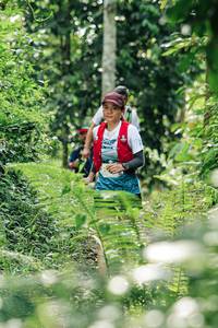 BIB: 
                            <button type="button" onclick="openModal(26352296)" class="btn btn-primary btn-sm float-right btn-popup" data-toggle="modal" data-target=".modal-high-quality">
                        <i class="fas fa-shopping-cart"></i> Add to Cart
                    </button>
                                            <button type="button" onclick="isThisMe(26352296, true)" class="btn btn-success btn-sm float-right btn-popup btn-isme hidden" data-toggle="tooltip" data-placement="bottom" title="นี่คือรูปของคุณใช่ไหม คลิกที่นี่เพื่อเอาเข้าอัลบั้ม">
                        <i class="fas fa-plus"></i> Add to album
                    </button>
                    <button type="button" onclick="isThisMe(26352296, false)" class="btn btn-warning btn-sm float-right btn-popup btn-isnotme hidden">
                        <i class="fas fa-ban"></i> Remove from album
                    </button>