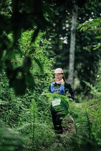 BIB: 
                            <button type="button" onclick="openModal(26350487)" class="btn btn-primary btn-sm float-right btn-popup" data-toggle="modal" data-target=".modal-high-quality">
                        <i class="fas fa-shopping-cart"></i> Add to Cart
                    </button>
                                            <button type="button" onclick="isThisMe(26350487, true)" class="btn btn-success btn-sm float-right btn-popup btn-isme hidden" data-toggle="tooltip" data-placement="bottom" title="นี่คือรูปของคุณใช่ไหม คลิกที่นี่เพื่อเอาเข้าอัลบั้ม">
                        <i class="fas fa-plus"></i> Add to album
                    </button>
                    <button type="button" onclick="isThisMe(26350487, false)" class="btn btn-warning btn-sm float-right btn-popup btn-isnotme hidden">
                        <i class="fas fa-ban"></i> Remove from album
                    </button>