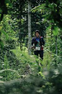 BIB: 
                            <button type="button" onclick="openModal(26353096)" class="btn btn-primary btn-sm float-right btn-popup" data-toggle="modal" data-target=".modal-high-quality">
                        <i class="fas fa-shopping-cart"></i> Add to Cart
                    </button>
                                            <button type="button" onclick="isThisMe(26353096, true)" class="btn btn-success btn-sm float-right btn-popup btn-isme hidden" data-toggle="tooltip" data-placement="bottom" title="นี่คือรูปของคุณใช่ไหม คลิกที่นี่เพื่อเอาเข้าอัลบั้ม">
                        <i class="fas fa-plus"></i> Add to album
                    </button>
                    <button type="button" onclick="isThisMe(26353096, false)" class="btn btn-warning btn-sm float-right btn-popup btn-isnotme hidden">
                        <i class="fas fa-ban"></i> Remove from album
                    </button>