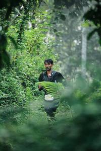 BIB: 
                            <button type="button" onclick="openModal(26349605)" class="btn btn-primary btn-sm float-right btn-popup" data-toggle="modal" data-target=".modal-high-quality">
                        <i class="fas fa-shopping-cart"></i> Add to Cart
                    </button>
                                            <button type="button" onclick="isThisMe(26349605, true)" class="btn btn-success btn-sm float-right btn-popup btn-isme hidden" data-toggle="tooltip" data-placement="bottom" title="นี่คือรูปของคุณใช่ไหม คลิกที่นี่เพื่อเอาเข้าอัลบั้ม">
                        <i class="fas fa-plus"></i> Add to album
                    </button>
                    <button type="button" onclick="isThisMe(26349605, false)" class="btn btn-warning btn-sm float-right btn-popup btn-isnotme hidden">
                        <i class="fas fa-ban"></i> Remove from album
                    </button>