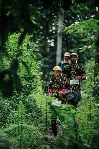 BIB: 
                            <button type="button" onclick="openModal(26350460)" class="btn btn-primary btn-sm float-right btn-popup" data-toggle="modal" data-target=".modal-high-quality">
                        <i class="fas fa-shopping-cart"></i> Add to Cart
                    </button>
                                            <button type="button" onclick="isThisMe(26350460, true)" class="btn btn-success btn-sm float-right btn-popup btn-isme hidden" data-toggle="tooltip" data-placement="bottom" title="นี่คือรูปของคุณใช่ไหม คลิกที่นี่เพื่อเอาเข้าอัลบั้ม">
                        <i class="fas fa-plus"></i> Add to album
                    </button>
                    <button type="button" onclick="isThisMe(26350460, false)" class="btn btn-warning btn-sm float-right btn-popup btn-isnotme hidden">
                        <i class="fas fa-ban"></i> Remove from album
                    </button>