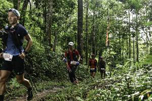 BIB: 
                            <button type="button" onclick="openModal(26283508)" class="btn btn-primary btn-sm float-right btn-popup" data-toggle="modal" data-target=".modal-high-quality">
                        <i class="fas fa-shopping-cart"></i> Add to Cart
                    </button>
                                            <button type="button" onclick="isThisMe(26283508, true)" class="btn btn-success btn-sm float-right btn-popup btn-isme hidden" data-toggle="tooltip" data-placement="bottom" title="นี่คือรูปของคุณใช่ไหม คลิกที่นี่เพื่อเอาเข้าอัลบั้ม">
                        <i class="fas fa-plus"></i> Add to album
                    </button>
                    <button type="button" onclick="isThisMe(26283508, false)" class="btn btn-warning btn-sm float-right btn-popup btn-isnotme hidden">
                        <i class="fas fa-ban"></i> Remove from album
                    </button>