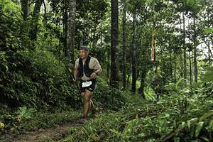 BIB: 
                            <button type="button" onclick="openModal(26282433)" class="btn btn-primary btn-sm float-right btn-popup" data-toggle="modal" data-target=".modal-high-quality">
                        <i class="fas fa-shopping-cart"></i> Add to Cart
                    </button>
                                            <button type="button" onclick="isThisMe(26282433, true)" class="btn btn-success btn-sm float-right btn-popup btn-isme hidden" data-toggle="tooltip" data-placement="bottom" title="นี่คือรูปของคุณใช่ไหม คลิกที่นี่เพื่อเอาเข้าอัลบั้ม">
                        <i class="fas fa-plus"></i> Add to album
                    </button>
                    <button type="button" onclick="isThisMe(26282433, false)" class="btn btn-warning btn-sm float-right btn-popup btn-isnotme hidden">
                        <i class="fas fa-ban"></i> Remove from album
                    </button>