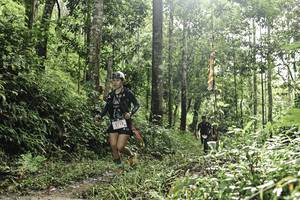 BIB: 
                            <button type="button" onclick="openModal(26283326)" class="btn btn-primary btn-sm float-right btn-popup" data-toggle="modal" data-target=".modal-high-quality">
                        <i class="fas fa-shopping-cart"></i> Add to Cart
                    </button>
                                            <button type="button" onclick="isThisMe(26283326, true)" class="btn btn-success btn-sm float-right btn-popup btn-isme hidden" data-toggle="tooltip" data-placement="bottom" title="นี่คือรูปของคุณใช่ไหม คลิกที่นี่เพื่อเอาเข้าอัลบั้ม">
                        <i class="fas fa-plus"></i> Add to album
                    </button>
                    <button type="button" onclick="isThisMe(26283326, false)" class="btn btn-warning btn-sm float-right btn-popup btn-isnotme hidden">
                        <i class="fas fa-ban"></i> Remove from album
                    </button>