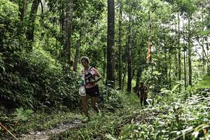 BIB: 
                            <button type="button" onclick="openModal(26283576)" class="btn btn-primary btn-sm float-right btn-popup" data-toggle="modal" data-target=".modal-high-quality">
                        <i class="fas fa-shopping-cart"></i> Add to Cart
                    </button>
                                            <button type="button" onclick="isThisMe(26283576, true)" class="btn btn-success btn-sm float-right btn-popup btn-isme hidden" data-toggle="tooltip" data-placement="bottom" title="นี่คือรูปของคุณใช่ไหม คลิกที่นี่เพื่อเอาเข้าอัลบั้ม">
                        <i class="fas fa-plus"></i> Add to album
                    </button>
                    <button type="button" onclick="isThisMe(26283576, false)" class="btn btn-warning btn-sm float-right btn-popup btn-isnotme hidden">
                        <i class="fas fa-ban"></i> Remove from album
                    </button>