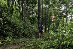 BIB: 
                            <button type="button" onclick="openModal(26282438)" class="btn btn-primary btn-sm float-right btn-popup" data-toggle="modal" data-target=".modal-high-quality">
                        <i class="fas fa-shopping-cart"></i> Add to Cart
                    </button>
                                            <button type="button" onclick="isThisMe(26282438, true)" class="btn btn-success btn-sm float-right btn-popup btn-isme hidden" data-toggle="tooltip" data-placement="bottom" title="นี่คือรูปของคุณใช่ไหม คลิกที่นี่เพื่อเอาเข้าอัลบั้ม">
                        <i class="fas fa-plus"></i> Add to album
                    </button>
                    <button type="button" onclick="isThisMe(26282438, false)" class="btn btn-warning btn-sm float-right btn-popup btn-isnotme hidden">
                        <i class="fas fa-ban"></i> Remove from album
                    </button>