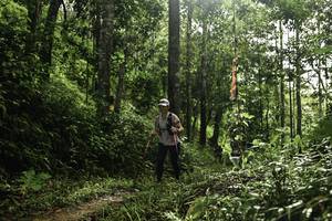 BIB: 
                            <button type="button" onclick="openModal(26283619)" class="btn btn-primary btn-sm float-right btn-popup" data-toggle="modal" data-target=".modal-high-quality">
                        <i class="fas fa-shopping-cart"></i> Add to Cart
                    </button>
                                            <button type="button" onclick="isThisMe(26283619, true)" class="btn btn-success btn-sm float-right btn-popup btn-isme hidden" data-toggle="tooltip" data-placement="bottom" title="นี่คือรูปของคุณใช่ไหม คลิกที่นี่เพื่อเอาเข้าอัลบั้ม">
                        <i class="fas fa-plus"></i> Add to album
                    </button>
                    <button type="button" onclick="isThisMe(26283619, false)" class="btn btn-warning btn-sm float-right btn-popup btn-isnotme hidden">
                        <i class="fas fa-ban"></i> Remove from album
                    </button>