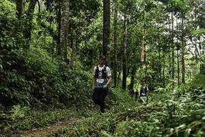 BIB: 
                            <button type="button" onclick="openModal(26283246)" class="btn btn-primary btn-sm float-right btn-popup" data-toggle="modal" data-target=".modal-high-quality">
                        <i class="fas fa-shopping-cart"></i> Add to Cart
                    </button>
                                            <button type="button" onclick="isThisMe(26283246, true)" class="btn btn-success btn-sm float-right btn-popup btn-isme hidden" data-toggle="tooltip" data-placement="bottom" title="นี่คือรูปของคุณใช่ไหม คลิกที่นี่เพื่อเอาเข้าอัลบั้ม">
                        <i class="fas fa-plus"></i> Add to album
                    </button>
                    <button type="button" onclick="isThisMe(26283246, false)" class="btn btn-warning btn-sm float-right btn-popup btn-isnotme hidden">
                        <i class="fas fa-ban"></i> Remove from album
                    </button>