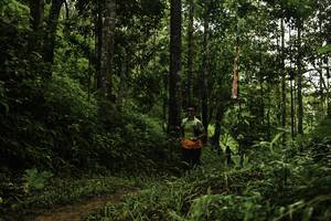 BIB: 
                            <button type="button" onclick="openModal(26284368)" class="btn btn-primary btn-sm float-right btn-popup" data-toggle="modal" data-target=".modal-high-quality">
                        <i class="fas fa-shopping-cart"></i> Add to Cart
                    </button>
                                            <button type="button" onclick="isThisMe(26284368, true)" class="btn btn-success btn-sm float-right btn-popup btn-isme hidden" data-toggle="tooltip" data-placement="bottom" title="นี่คือรูปของคุณใช่ไหม คลิกที่นี่เพื่อเอาเข้าอัลบั้ม">
                        <i class="fas fa-plus"></i> Add to album
                    </button>
                    <button type="button" onclick="isThisMe(26284368, false)" class="btn btn-warning btn-sm float-right btn-popup btn-isnotme hidden">
                        <i class="fas fa-ban"></i> Remove from album
                    </button>