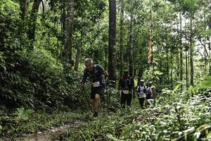 BIB: 
                            <button type="button" onclick="openModal(26283426)" class="btn btn-primary btn-sm float-right btn-popup" data-toggle="modal" data-target=".modal-high-quality">
                        <i class="fas fa-shopping-cart"></i> Add to Cart
                    </button>
                                            <button type="button" onclick="isThisMe(26283426, true)" class="btn btn-success btn-sm float-right btn-popup btn-isme hidden" data-toggle="tooltip" data-placement="bottom" title="นี่คือรูปของคุณใช่ไหม คลิกที่นี่เพื่อเอาเข้าอัลบั้ม">
                        <i class="fas fa-plus"></i> Add to album
                    </button>
                    <button type="button" onclick="isThisMe(26283426, false)" class="btn btn-warning btn-sm float-right btn-popup btn-isnotme hidden">
                        <i class="fas fa-ban"></i> Remove from album
                    </button>