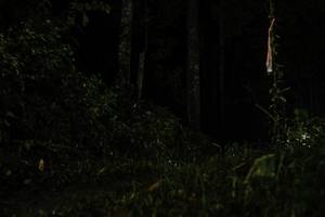 BIB: 
                            <button type="button" onclick="openModal(26281753)" class="btn btn-primary btn-sm float-right btn-popup" data-toggle="modal" data-target=".modal-high-quality">
                        <i class="fas fa-shopping-cart"></i> Add to Cart
                    </button>
                                            <button type="button" onclick="isThisMe(26281753, true)" class="btn btn-success btn-sm float-right btn-popup btn-isme hidden" data-toggle="tooltip" data-placement="bottom" title="นี่คือรูปของคุณใช่ไหม คลิกที่นี่เพื่อเอาเข้าอัลบั้ม">
                        <i class="fas fa-plus"></i> Add to album
                    </button>
                    <button type="button" onclick="isThisMe(26281753, false)" class="btn btn-warning btn-sm float-right btn-popup btn-isnotme hidden">
                        <i class="fas fa-ban"></i> Remove from album
                    </button>