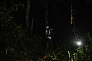 BIB: 
                            <button type="button" onclick="openModal(26281799)" class="btn btn-primary btn-sm float-right btn-popup" data-toggle="modal" data-target=".modal-high-quality">
                        <i class="fas fa-shopping-cart"></i> Add to Cart
                    </button>
                                            <button type="button" onclick="isThisMe(26281799, true)" class="btn btn-success btn-sm float-right btn-popup btn-isme hidden" data-toggle="tooltip" data-placement="bottom" title="นี่คือรูปของคุณใช่ไหม คลิกที่นี่เพื่อเอาเข้าอัลบั้ม">
                        <i class="fas fa-plus"></i> Add to album
                    </button>
                    <button type="button" onclick="isThisMe(26281799, false)" class="btn btn-warning btn-sm float-right btn-popup btn-isnotme hidden">
                        <i class="fas fa-ban"></i> Remove from album
                    </button>