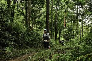 BIB: 
                            <button type="button" onclick="openModal(26285359)" class="btn btn-primary btn-sm float-right btn-popup" data-toggle="modal" data-target=".modal-high-quality">
                        <i class="fas fa-shopping-cart"></i> Add to Cart
                    </button>
                                            <button type="button" onclick="isThisMe(26285359, true)" class="btn btn-success btn-sm float-right btn-popup btn-isme hidden" data-toggle="tooltip" data-placement="bottom" title="นี่คือรูปของคุณใช่ไหม คลิกที่นี่เพื่อเอาเข้าอัลบั้ม">
                        <i class="fas fa-plus"></i> Add to album
                    </button>
                    <button type="button" onclick="isThisMe(26285359, false)" class="btn btn-warning btn-sm float-right btn-popup btn-isnotme hidden">
                        <i class="fas fa-ban"></i> Remove from album
                    </button>