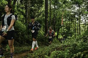 BIB: 
                            <button type="button" onclick="openModal(26284771)" class="btn btn-primary btn-sm float-right btn-popup" data-toggle="modal" data-target=".modal-high-quality">
                        <i class="fas fa-shopping-cart"></i> Add to Cart
                    </button>
                                            <button type="button" onclick="isThisMe(26284771, true)" class="btn btn-success btn-sm float-right btn-popup btn-isme hidden" data-toggle="tooltip" data-placement="bottom" title="นี่คือรูปของคุณใช่ไหม คลิกที่นี่เพื่อเอาเข้าอัลบั้ม">
                        <i class="fas fa-plus"></i> Add to album
                    </button>
                    <button type="button" onclick="isThisMe(26284771, false)" class="btn btn-warning btn-sm float-right btn-popup btn-isnotme hidden">
                        <i class="fas fa-ban"></i> Remove from album
                    </button>