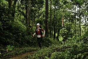 BIB: 
                            <button type="button" onclick="openModal(26284802)" class="btn btn-primary btn-sm float-right btn-popup" data-toggle="modal" data-target=".modal-high-quality">
                        <i class="fas fa-shopping-cart"></i> Add to Cart
                    </button>
                                            <button type="button" onclick="isThisMe(26284802, true)" class="btn btn-success btn-sm float-right btn-popup btn-isme hidden" data-toggle="tooltip" data-placement="bottom" title="นี่คือรูปของคุณใช่ไหม คลิกที่นี่เพื่อเอาเข้าอัลบั้ม">
                        <i class="fas fa-plus"></i> Add to album
                    </button>
                    <button type="button" onclick="isThisMe(26284802, false)" class="btn btn-warning btn-sm float-right btn-popup btn-isnotme hidden">
                        <i class="fas fa-ban"></i> Remove from album
                    </button>