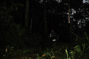 BIB: 
                            <button type="button" onclick="openModal(26281839)" class="btn btn-primary btn-sm float-right btn-popup" data-toggle="modal" data-target=".modal-high-quality">
                        <i class="fas fa-shopping-cart"></i> Add to Cart
                    </button>
                                            <button type="button" onclick="isThisMe(26281839, true)" class="btn btn-success btn-sm float-right btn-popup btn-isme hidden" data-toggle="tooltip" data-placement="bottom" title="นี่คือรูปของคุณใช่ไหม คลิกที่นี่เพื่อเอาเข้าอัลบั้ม">
                        <i class="fas fa-plus"></i> Add to album
                    </button>
                    <button type="button" onclick="isThisMe(26281839, false)" class="btn btn-warning btn-sm float-right btn-popup btn-isnotme hidden">
                        <i class="fas fa-ban"></i> Remove from album
                    </button>