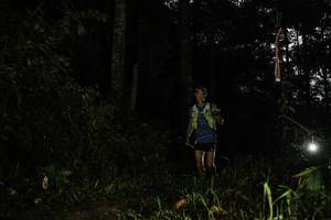 BIB: 
                            <button type="button" onclick="openModal(26281853)" class="btn btn-primary btn-sm float-right btn-popup" data-toggle="modal" data-target=".modal-high-quality">
                        <i class="fas fa-shopping-cart"></i> Add to Cart
                    </button>
                                            <button type="button" onclick="isThisMe(26281853, true)" class="btn btn-success btn-sm float-right btn-popup btn-isme hidden" data-toggle="tooltip" data-placement="bottom" title="นี่คือรูปของคุณใช่ไหม คลิกที่นี่เพื่อเอาเข้าอัลบั้ม">
                        <i class="fas fa-plus"></i> Add to album
                    </button>
                    <button type="button" onclick="isThisMe(26281853, false)" class="btn btn-warning btn-sm float-right btn-popup btn-isnotme hidden">
                        <i class="fas fa-ban"></i> Remove from album
                    </button>