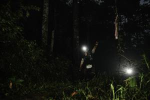 BIB: 
                            <button type="button" onclick="openModal(26281819)" class="btn btn-primary btn-sm float-right btn-popup" data-toggle="modal" data-target=".modal-high-quality">
                        <i class="fas fa-shopping-cart"></i> Add to Cart
                    </button>
                                            <button type="button" onclick="isThisMe(26281819, true)" class="btn btn-success btn-sm float-right btn-popup btn-isme hidden" data-toggle="tooltip" data-placement="bottom" title="นี่คือรูปของคุณใช่ไหม คลิกที่นี่เพื่อเอาเข้าอัลบั้ม">
                        <i class="fas fa-plus"></i> Add to album
                    </button>
                    <button type="button" onclick="isThisMe(26281819, false)" class="btn btn-warning btn-sm float-right btn-popup btn-isnotme hidden">
                        <i class="fas fa-ban"></i> Remove from album
                    </button>