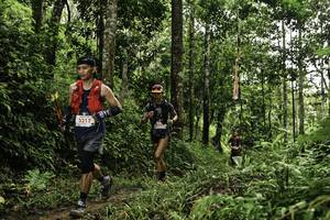 BIB: 
                            <button type="button" onclick="openModal(26282737)" class="btn btn-primary btn-sm float-right btn-popup" data-toggle="modal" data-target=".modal-high-quality">
                        <i class="fas fa-shopping-cart"></i> Add to Cart
                    </button>
                                            <button type="button" onclick="isThisMe(26282737, true)" class="btn btn-success btn-sm float-right btn-popup btn-isme hidden" data-toggle="tooltip" data-placement="bottom" title="นี่คือรูปของคุณใช่ไหม คลิกที่นี่เพื่อเอาเข้าอัลบั้ม">
                        <i class="fas fa-plus"></i> Add to album
                    </button>
                    <button type="button" onclick="isThisMe(26282737, false)" class="btn btn-warning btn-sm float-right btn-popup btn-isnotme hidden">
                        <i class="fas fa-ban"></i> Remove from album
                    </button>