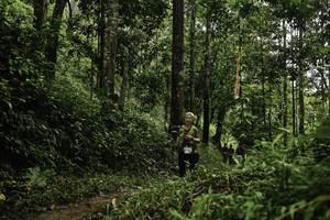 BIB: 
                            <button type="button" onclick="openModal(26285143)" class="btn btn-primary btn-sm float-right btn-popup" data-toggle="modal" data-target=".modal-high-quality">
                        <i class="fas fa-shopping-cart"></i> Add to Cart
                    </button>
                                            <button type="button" onclick="isThisMe(26285143, true)" class="btn btn-success btn-sm float-right btn-popup btn-isme hidden" data-toggle="tooltip" data-placement="bottom" title="นี่คือรูปของคุณใช่ไหม คลิกที่นี่เพื่อเอาเข้าอัลบั้ม">
                        <i class="fas fa-plus"></i> Add to album
                    </button>
                    <button type="button" onclick="isThisMe(26285143, false)" class="btn btn-warning btn-sm float-right btn-popup btn-isnotme hidden">
                        <i class="fas fa-ban"></i> Remove from album
                    </button>