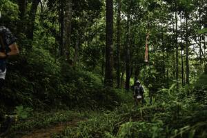 BIB: 
                            <button type="button" onclick="openModal(26284335)" class="btn btn-primary btn-sm float-right btn-popup" data-toggle="modal" data-target=".modal-high-quality">
                        <i class="fas fa-shopping-cart"></i> Add to Cart
                    </button>
                                            <button type="button" onclick="isThisMe(26284335, true)" class="btn btn-success btn-sm float-right btn-popup btn-isme hidden" data-toggle="tooltip" data-placement="bottom" title="นี่คือรูปของคุณใช่ไหม คลิกที่นี่เพื่อเอาเข้าอัลบั้ม">
                        <i class="fas fa-plus"></i> Add to album
                    </button>
                    <button type="button" onclick="isThisMe(26284335, false)" class="btn btn-warning btn-sm float-right btn-popup btn-isnotme hidden">
                        <i class="fas fa-ban"></i> Remove from album
                    </button>