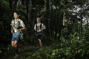 BIB: 
                            <button type="button" onclick="openModal(26282197)" class="btn btn-primary btn-sm float-right btn-popup" data-toggle="modal" data-target=".modal-high-quality">
                        <i class="fas fa-shopping-cart"></i> Add to Cart
                    </button>
                                            <button type="button" onclick="isThisMe(26282197, true)" class="btn btn-success btn-sm float-right btn-popup btn-isme hidden" data-toggle="tooltip" data-placement="bottom" title="นี่คือรูปของคุณใช่ไหม คลิกที่นี่เพื่อเอาเข้าอัลบั้ม">
                        <i class="fas fa-plus"></i> Add to album
                    </button>
                    <button type="button" onclick="isThisMe(26282197, false)" class="btn btn-warning btn-sm float-right btn-popup btn-isnotme hidden">
                        <i class="fas fa-ban"></i> Remove from album
                    </button>