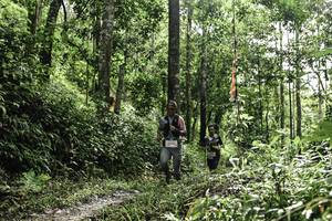 BIB: 
                            <button type="button" onclick="openModal(26283594)" class="btn btn-primary btn-sm float-right btn-popup" data-toggle="modal" data-target=".modal-high-quality">
                        <i class="fas fa-shopping-cart"></i> Add to Cart
                    </button>
                                            <button type="button" onclick="isThisMe(26283594, true)" class="btn btn-success btn-sm float-right btn-popup btn-isme hidden" data-toggle="tooltip" data-placement="bottom" title="นี่คือรูปของคุณใช่ไหม คลิกที่นี่เพื่อเอาเข้าอัลบั้ม">
                        <i class="fas fa-plus"></i> Add to album
                    </button>
                    <button type="button" onclick="isThisMe(26283594, false)" class="btn btn-warning btn-sm float-right btn-popup btn-isnotme hidden">
                        <i class="fas fa-ban"></i> Remove from album
                    </button>