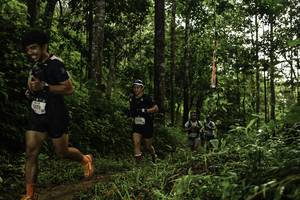 BIB: 
                            <button type="button" onclick="openModal(26284199)" class="btn btn-primary btn-sm float-right btn-popup" data-toggle="modal" data-target=".modal-high-quality">
                        <i class="fas fa-shopping-cart"></i> Add to Cart
                    </button>
                                            <button type="button" onclick="isThisMe(26284199, true)" class="btn btn-success btn-sm float-right btn-popup btn-isme hidden" data-toggle="tooltip" data-placement="bottom" title="นี่คือรูปของคุณใช่ไหม คลิกที่นี่เพื่อเอาเข้าอัลบั้ม">
                        <i class="fas fa-plus"></i> Add to album
                    </button>
                    <button type="button" onclick="isThisMe(26284199, false)" class="btn btn-warning btn-sm float-right btn-popup btn-isnotme hidden">
                        <i class="fas fa-ban"></i> Remove from album
                    </button>