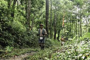 BIB: 
                            <button type="button" onclick="openModal(26283391)" class="btn btn-primary btn-sm float-right btn-popup" data-toggle="modal" data-target=".modal-high-quality">
                        <i class="fas fa-shopping-cart"></i> Add to Cart
                    </button>
                                            <button type="button" onclick="isThisMe(26283391, true)" class="btn btn-success btn-sm float-right btn-popup btn-isme hidden" data-toggle="tooltip" data-placement="bottom" title="นี่คือรูปของคุณใช่ไหม คลิกที่นี่เพื่อเอาเข้าอัลบั้ม">
                        <i class="fas fa-plus"></i> Add to album
                    </button>
                    <button type="button" onclick="isThisMe(26283391, false)" class="btn btn-warning btn-sm float-right btn-popup btn-isnotme hidden">
                        <i class="fas fa-ban"></i> Remove from album
                    </button>