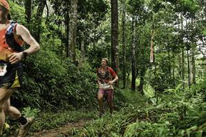 BIB: 
                            <button type="button" onclick="openModal(26282586)" class="btn btn-primary btn-sm float-right btn-popup" data-toggle="modal" data-target=".modal-high-quality">
                        <i class="fas fa-shopping-cart"></i> Add to Cart
                    </button>
                                            <button type="button" onclick="isThisMe(26282586, true)" class="btn btn-success btn-sm float-right btn-popup btn-isme hidden" data-toggle="tooltip" data-placement="bottom" title="นี่คือรูปของคุณใช่ไหม คลิกที่นี่เพื่อเอาเข้าอัลบั้ม">
                        <i class="fas fa-plus"></i> Add to album
                    </button>
                    <button type="button" onclick="isThisMe(26282586, false)" class="btn btn-warning btn-sm float-right btn-popup btn-isnotme hidden">
                        <i class="fas fa-ban"></i> Remove from album
                    </button>